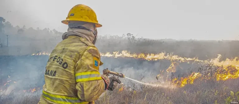 Brigadistas lutam contra o fogo e por direitos