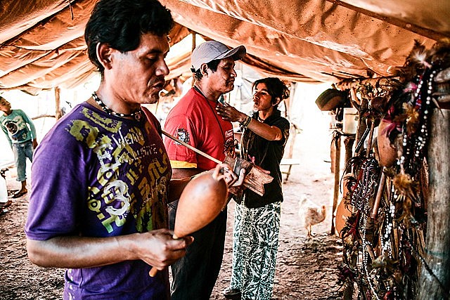 Atualmente, existem 21 áreas indígenas não demarcadas no Oeste do Paraná, habitadas por cerca de 2500 indígenas Guarani