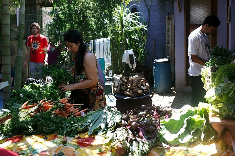 Através da alimentação saudável, espaço Raízes do Brasil, organizado pelo MPA, integra agroecologia e alimentação saudável