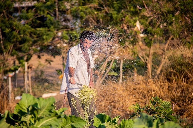 Aipim, batata doce, hortaliças e fitoterápicos estão entre os mais de 50 produtos disponíveis