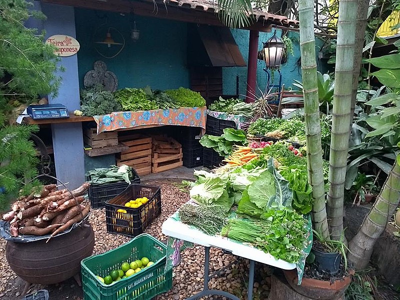 Mais de 70% dos alimentos do Brasil vem da agricultura camponesa e familiar, segundo IBGE