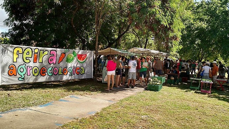 Pernambuco é um estado onde as feiras agroecológicas acontecem regularmente em várias cidades.