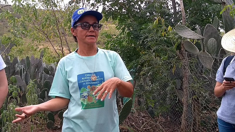 "A relação entre as mulheres, o Semiárido e a Agroecologia tem rendido bons frutos"