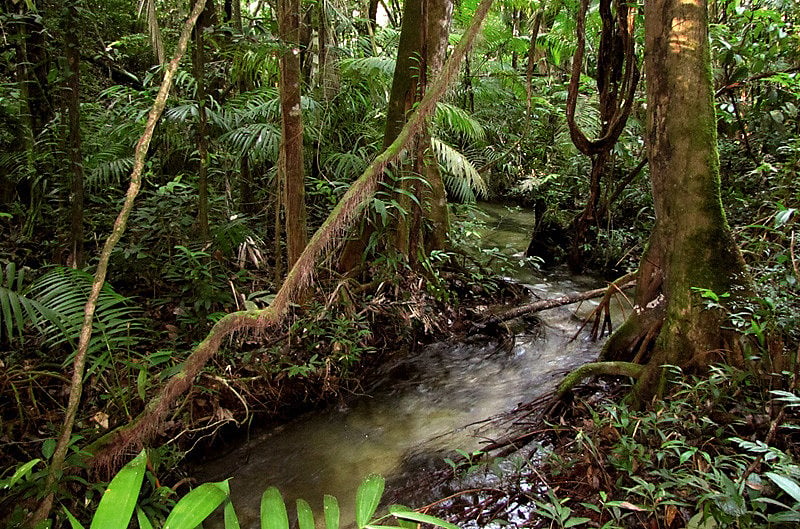 Meu quintal é a Amazônia’ foi nome que damos coletivamente ao grupo de trabalho formado no Seminário nacional do Movimento Fé e Política