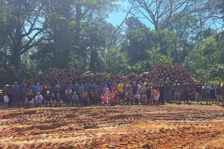 Comunidade protesta contra derrubada de árvores em parque entre Porto Alegre e Viamão