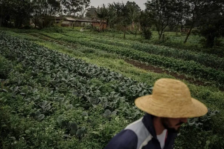 Programa Bem Viver destaca agroecologia, direitos humanos e luta pela terra no Brasil