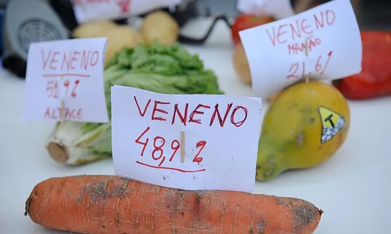 Tem mais veneno no seu prato: Brasil bate recorde de liberação de agrotóxicos em 2024 