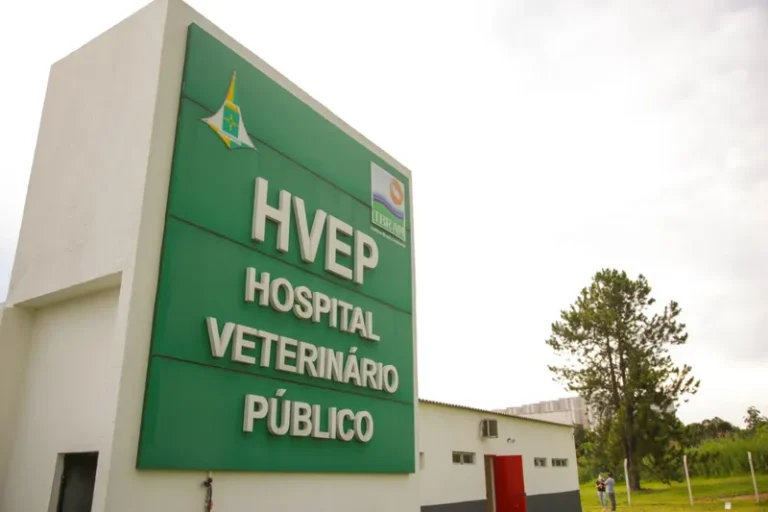 Auditoria revela que falhas no Hospital Veterinário Público do DF resulta em maus-tratos
