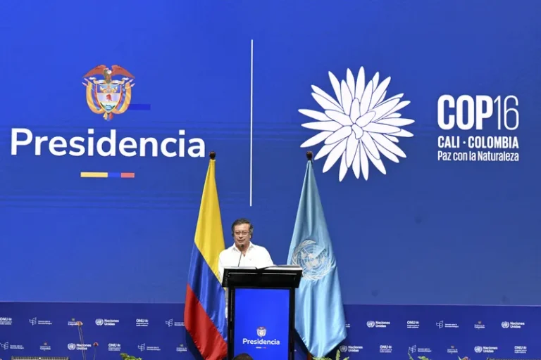 Marcos da COP16 sobre Biodiversidade e os sinais de alerta para a COP30 sobre Clima