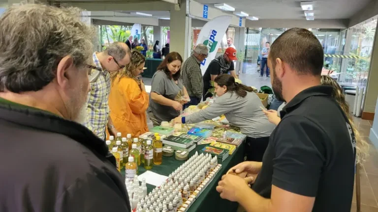 1º Festival de Arte e Cultura Rural e da Periferia de Pelotas acontece no dia 18 de novembro