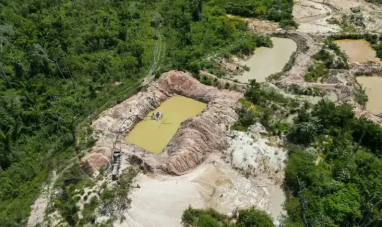 Nova regra do Pará facilita garimpo na área de proteção mais devastada do país
