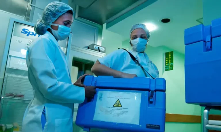 Como funciona a segurança de órgãos para transplantes no Brasil?