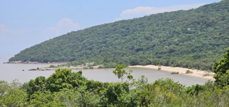 Revista Todo Dia é Dia da Natureza resgata valor histórico e ambiental de Viamão (RS)