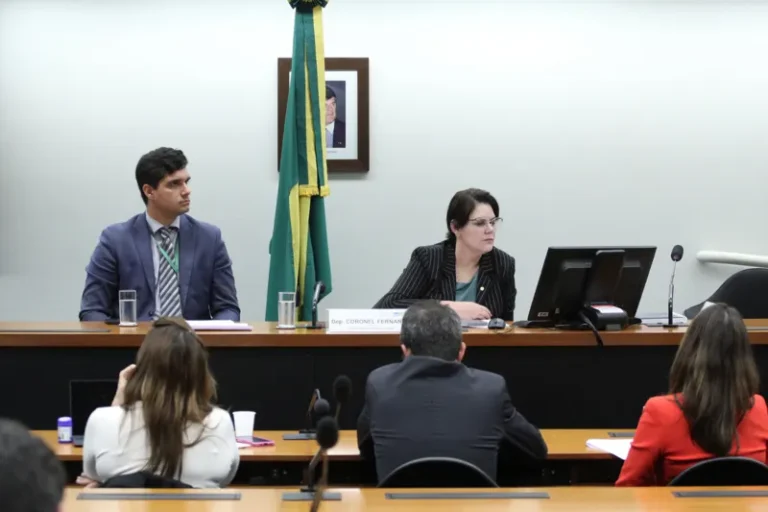 Agro faz audiência em defesa de agrotóxicos que matam abelhas e são 800 vezes mais tóxicos