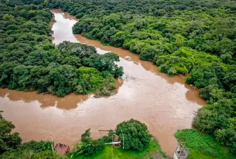 Mapa das bacias hidrográficas será lançado neste sábado (7) na Feira Ecológica da Redenção