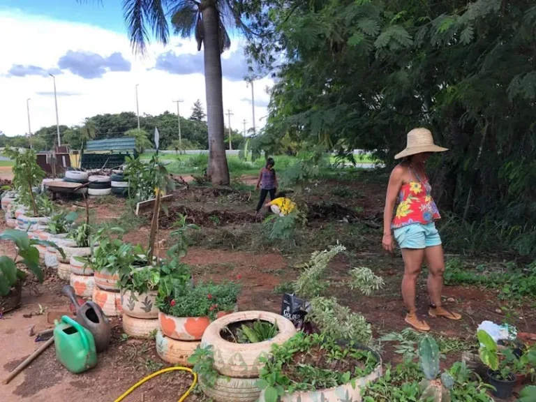 Moradores de Vila denunciam planos do GDF de remover área dentro do Parque Ecológico