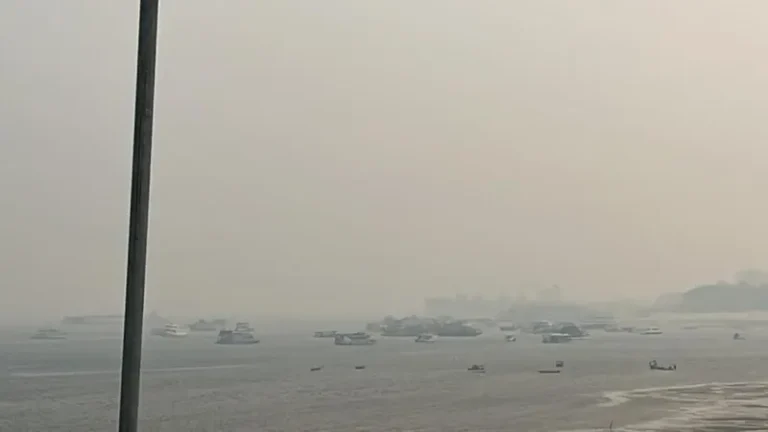 Brasil deve priorizar a participação social, direitos humanos e justiça climática na COP30