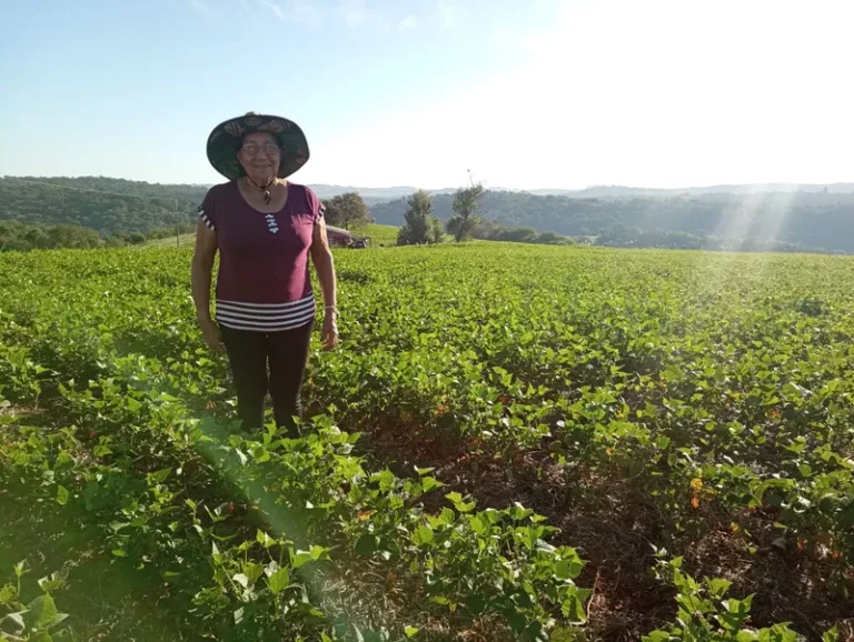 'Achávamos que não tínhamos direito a uma vida saudável', diz produtora agroecológica do PR