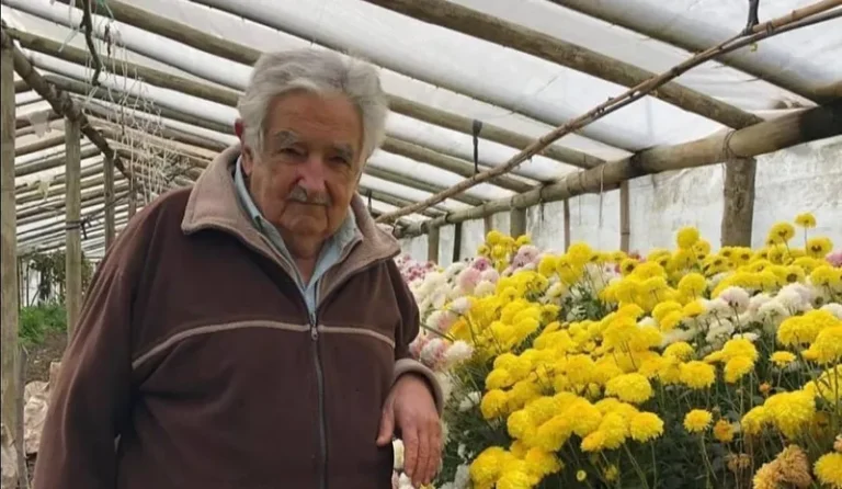 No RS, CineBancários promove sessão especial do documentário 'Os Sonhos de Pepe'