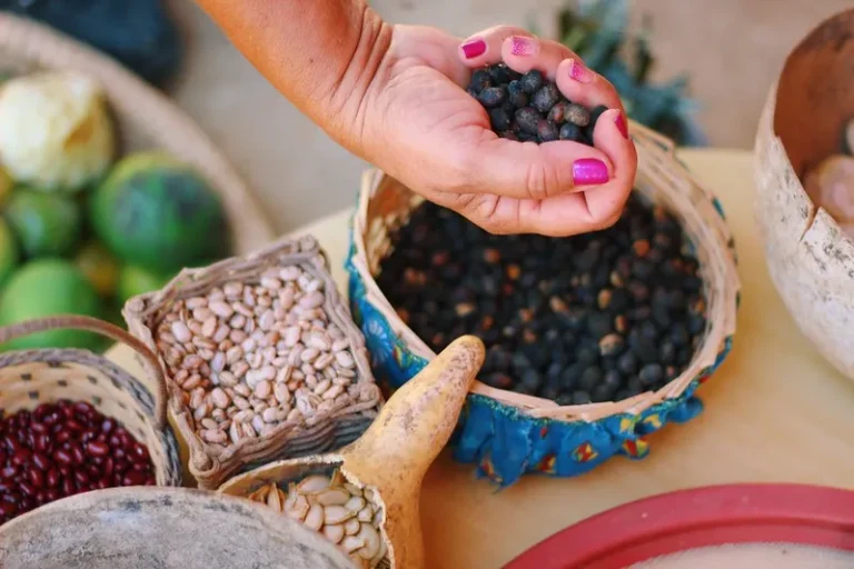 Sementes da Caatinga: projeto aposta na biodiversidade para enfrentar a desertificação