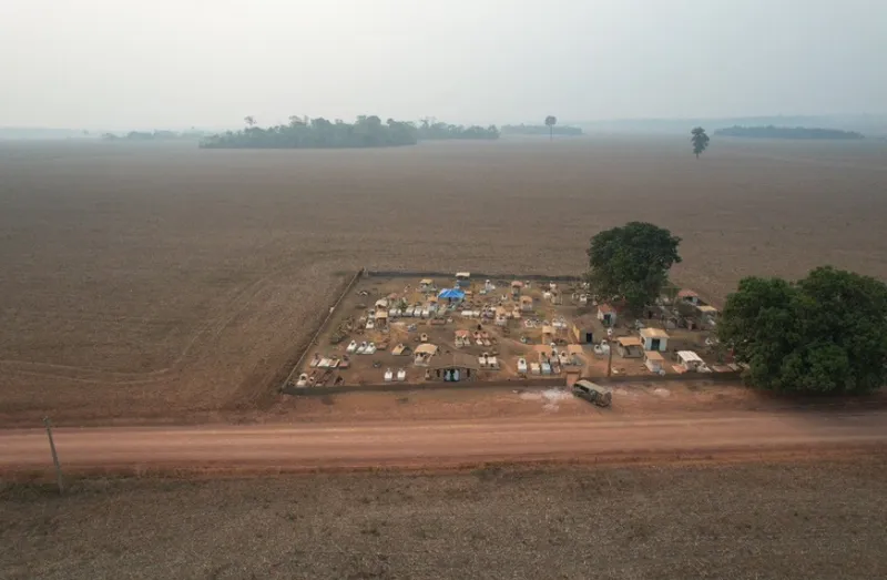 Cemetery of the Baixa do Cipó community, surrounded by soy plantations