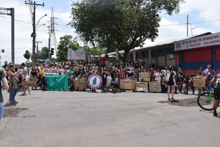 Moradores de Cachoeirinha se mobilizam em defesa do Mato do Júlio 
