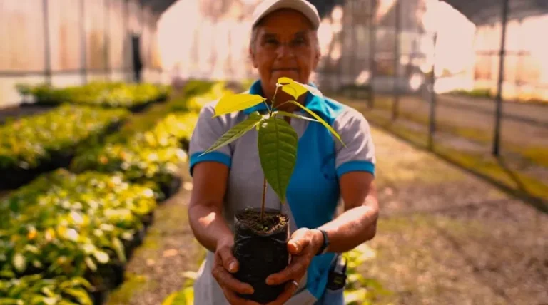 'Comuna o Nada': Brasil de Fato lança documentário sobre comunas venezuelanas; assista