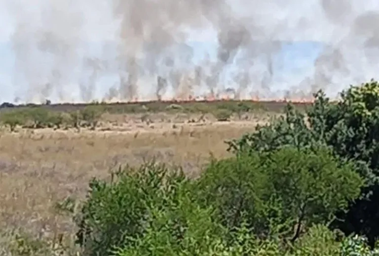 Bombeiros controlam fogo em Quaraí (RS) após três dias de incêndio 