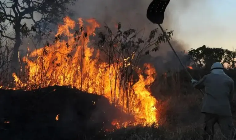 Incêndios em terras públicas não protegidas aumentaram 64% em 2024