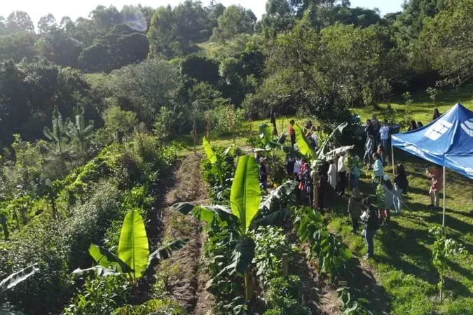 Plantas Alimentícias Não Convencionais são tema de curso em Santa Cruz do Sul