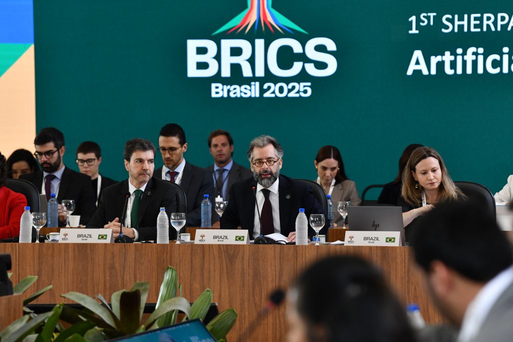 Brics representatives support joint statement on climate, says ...