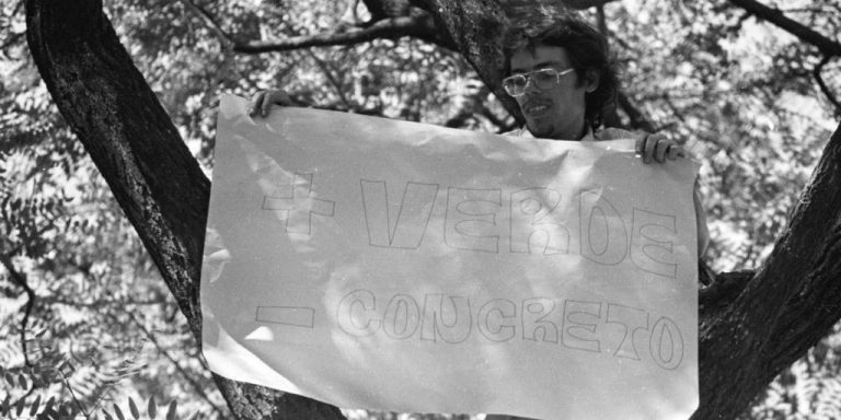Há 50 anos: três estudantes salvam árvore em Porto Alegre e viram notícia mundial