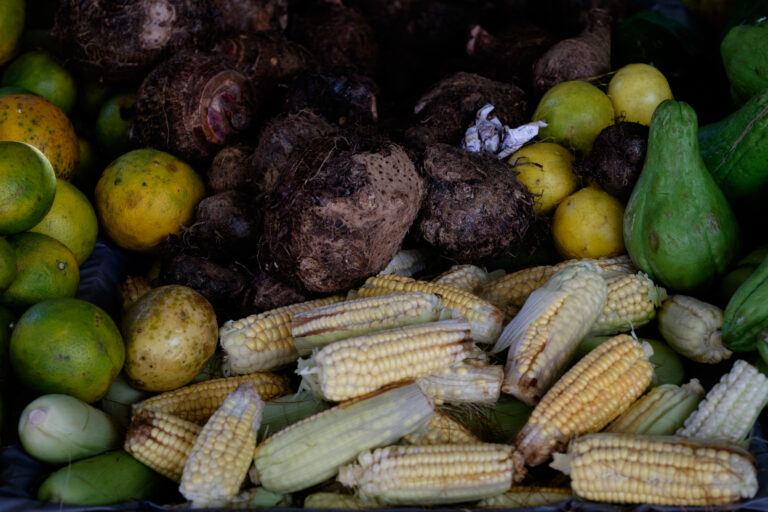 Governo abre nova chamada para o PAA em busca de aumento na produção de alimentos