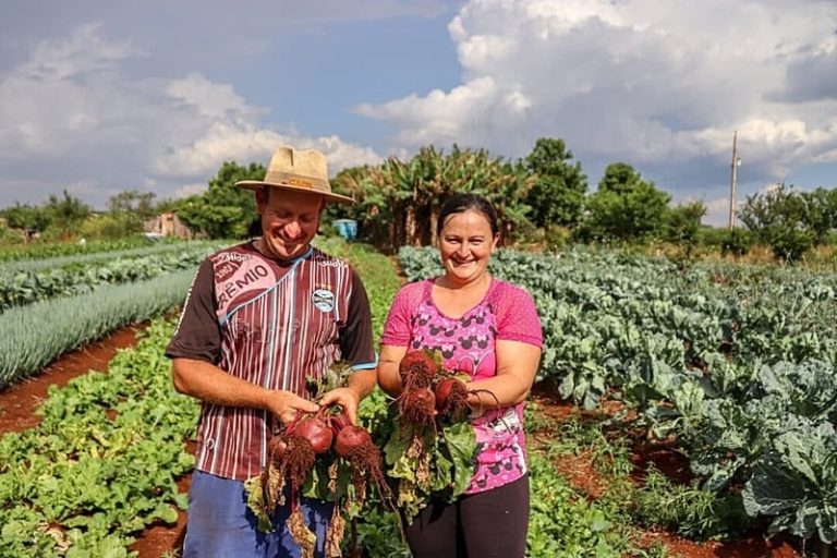 Programa Desenrola Rural permitirá que agricultores familiares, em situação de inadimplência, liquidem ou renegociem dívidas