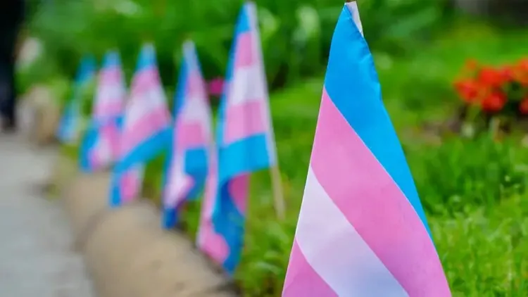 Bandeira da população trans