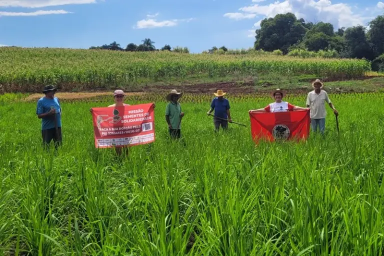 Sementes tradicionais e trabalho coletivo são resgatados em Panambi e Condor