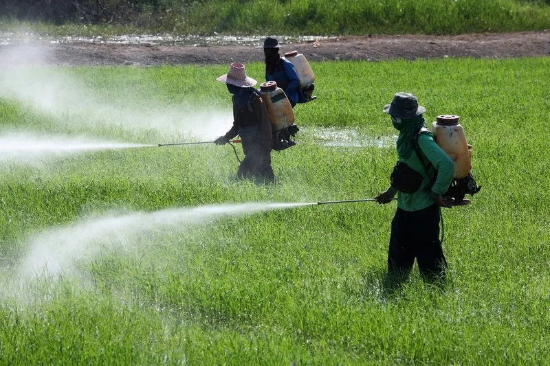 Aplicação de agrotóxicos
