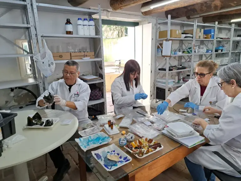 Professores e alunos da UFRGS ajudam a recuperar peças danificadas do Museu Joaquim Felizardo