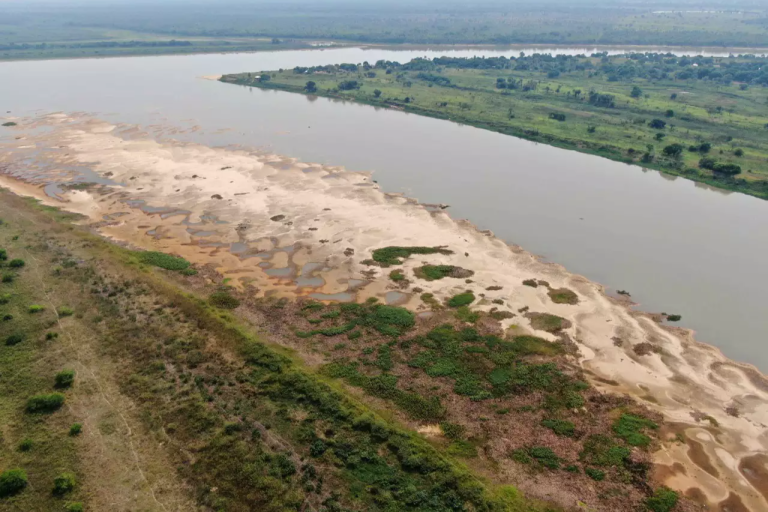 Obras da hidrovia do rio Paraguai podem secar ainda mais o Pantanal, alertam pesquisadores 