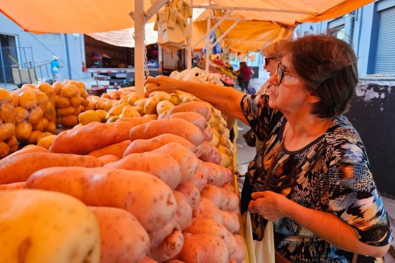 Apenas um quarto da população de Porto Alegre possui acesso às feiras ecológicas
