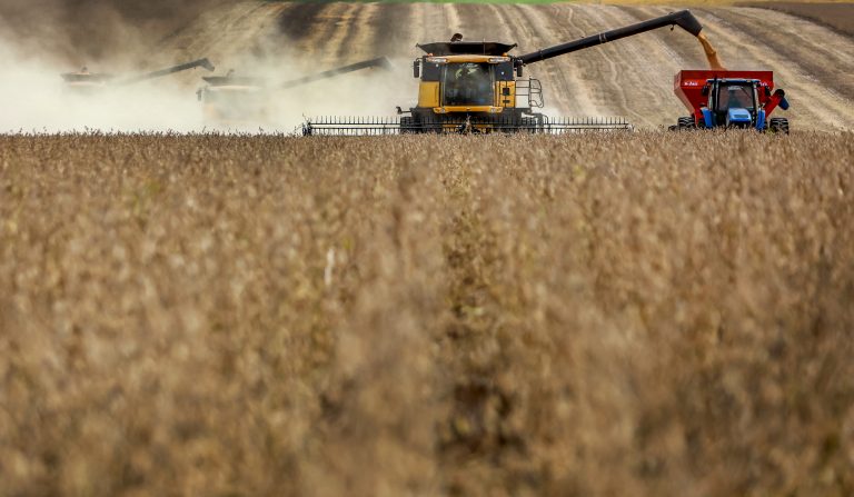 Agro em queda e energia em alta: como as mudanças climáticas afetam o PIB do Brasil