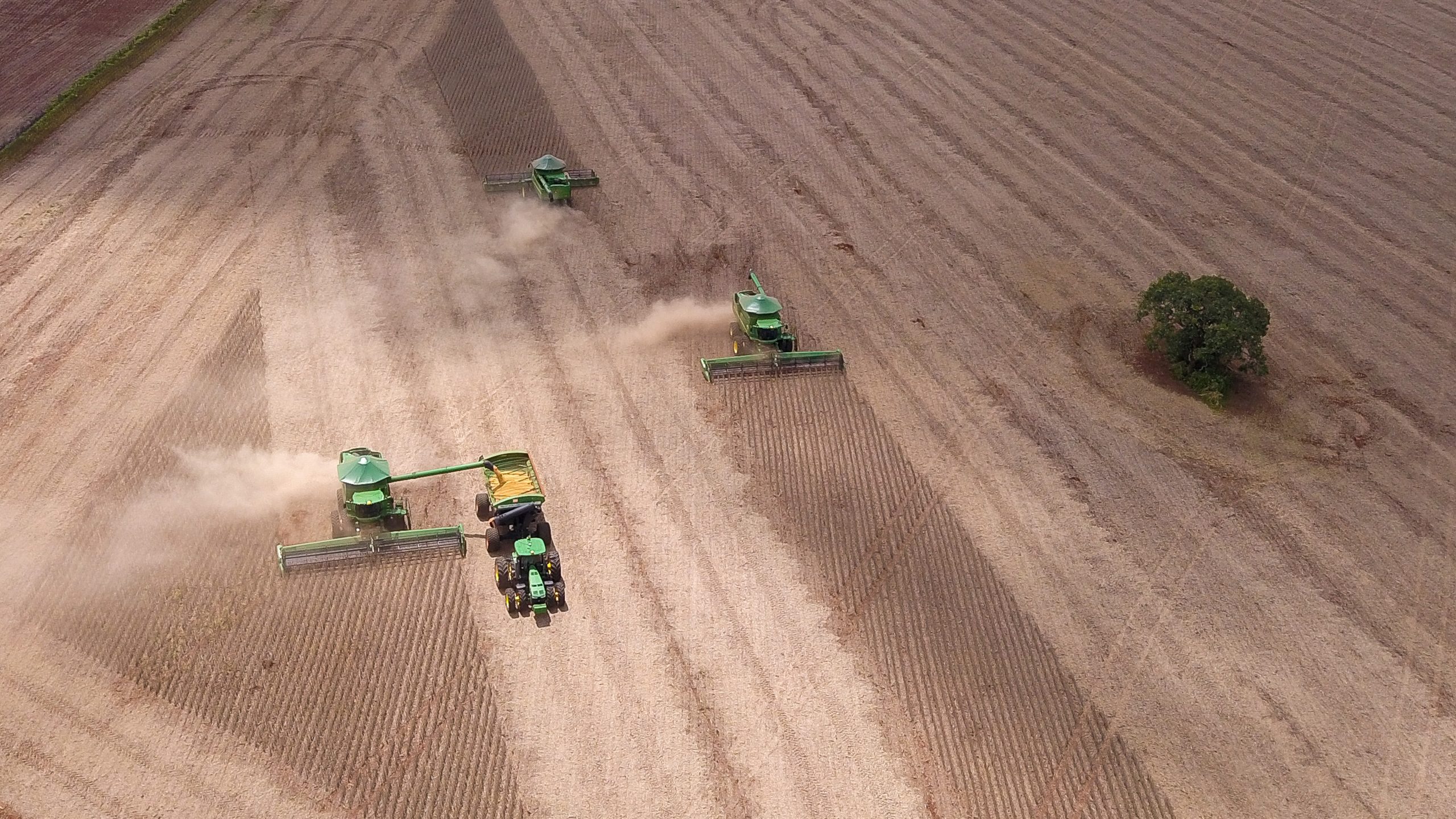 Desde os anos 2000, o país vem perdendo sistematicamente área de cultivo de alimentos, dando lugar a grandes monoculturas de soja