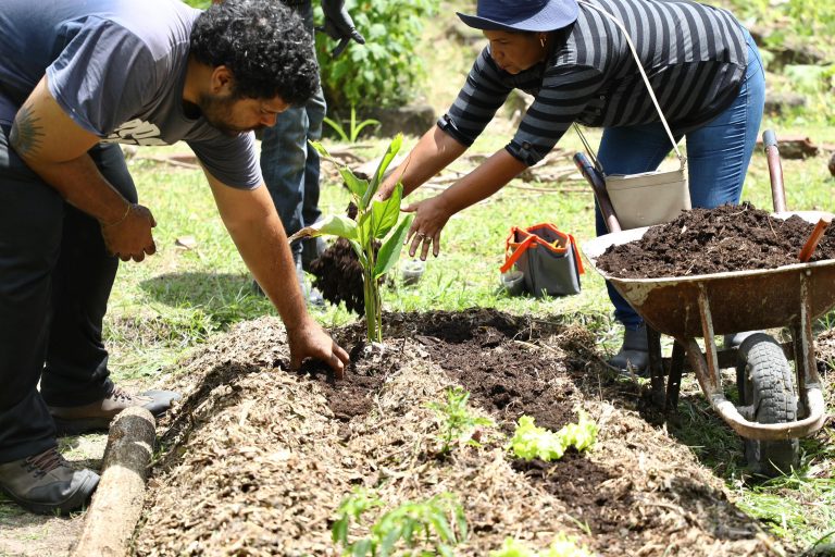 Recife sedia encontro nacional de agricultura urbana, visando fortalecer hortas comunitárias