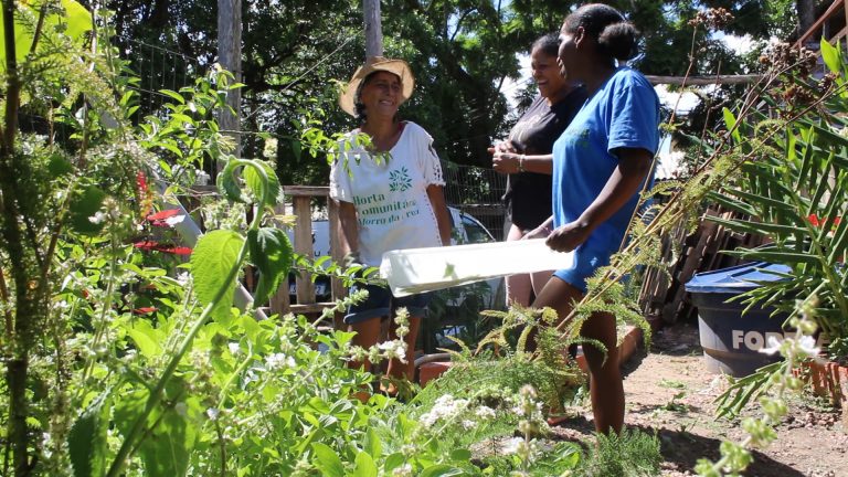 Horta comunitária promove soberania alimentar e autonomia de mulheres no Morro da Cruz