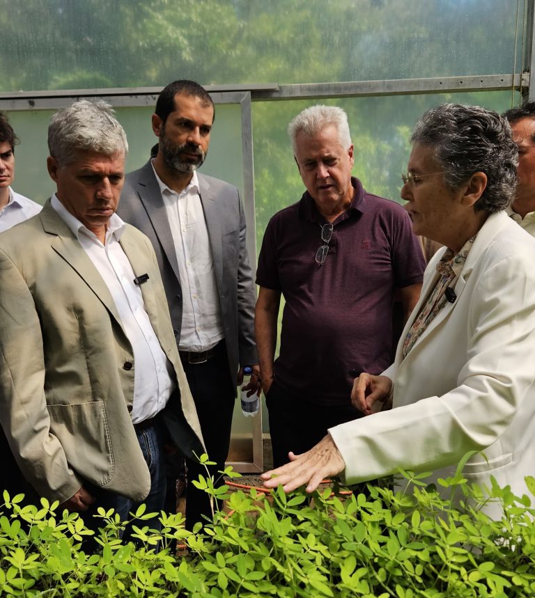 Farmácia Viva é reforçada com acordo que amplia produção de plantas medicinais