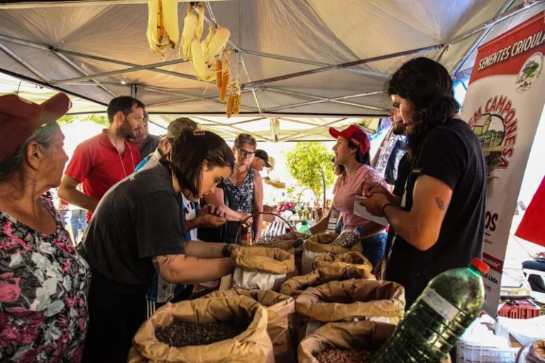 8ª Festa da Semente Crioula será celebrada neste sábado em Seberi (RS)