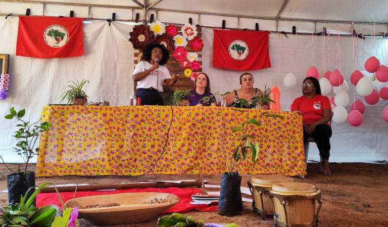 Jornada Nacional das Mulheres Sem Terra no DF denuncia agronegócio e luta por direitos