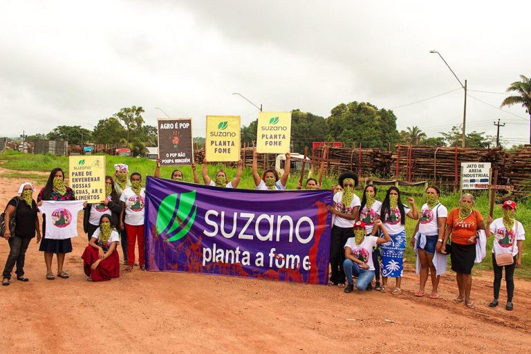 'Agora tudo é eucalipto': trabalhadoras rurais denunciam danos ambientais causados pela Suzano 