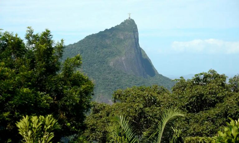 Estado do Rio reconhece papel dos escravizados no replantio da Floresta da Tijuca