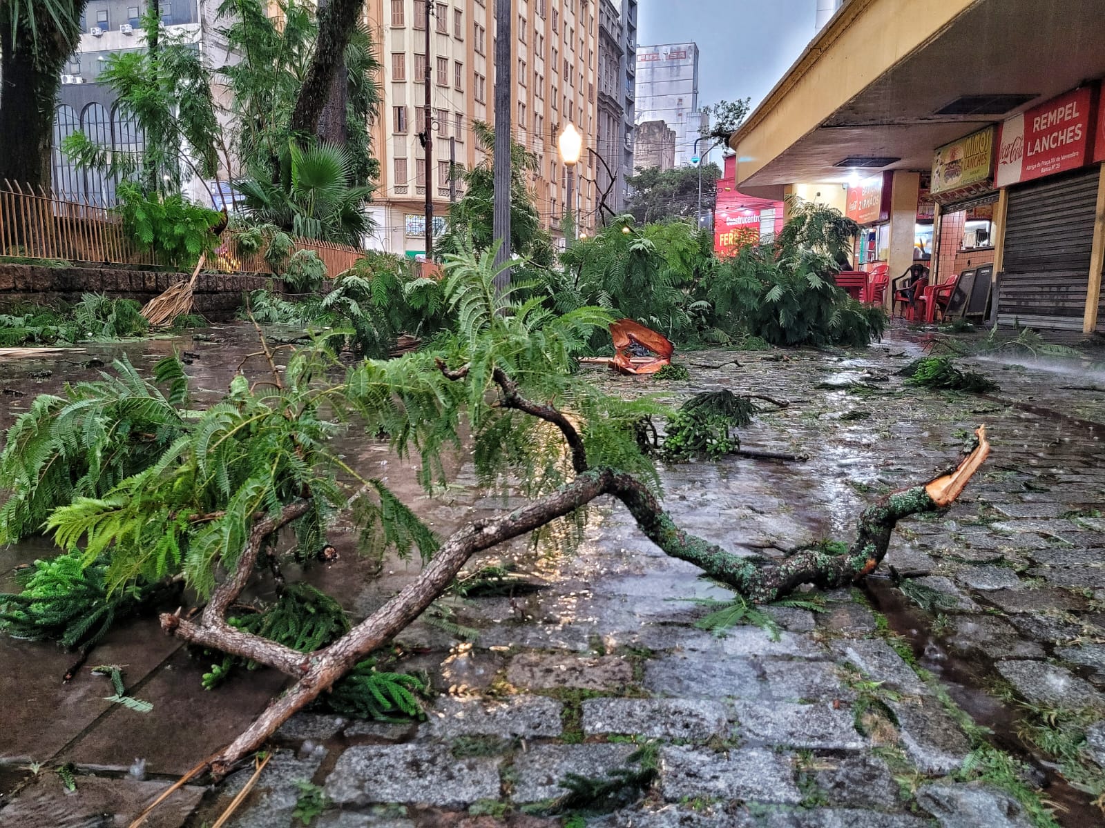 galhos caídos após temporal em Porto Alegre